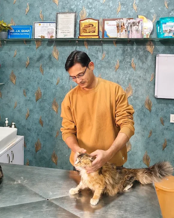 Dr. Jaheen Quazi examining a long-haired cat on the treatment table